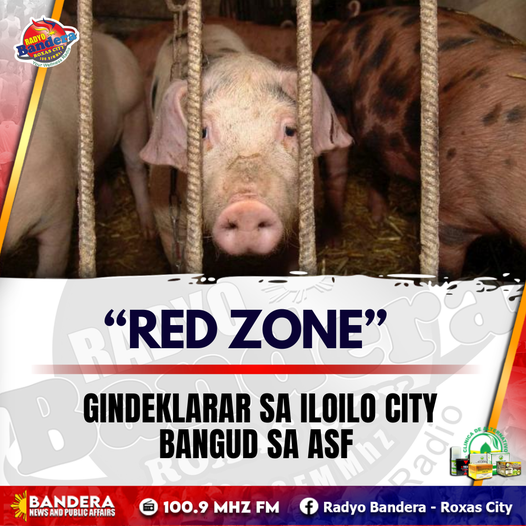 REGIONAL | “RED ZONE” GINDEKLARAR SA ILOILO CITY BANGUD SA ASF