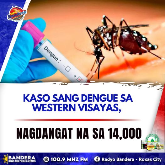 REGIONAL | KASO SANG DENGUE SA WESTERN VISAYAS, NAGDANGAT NA SA 14,000