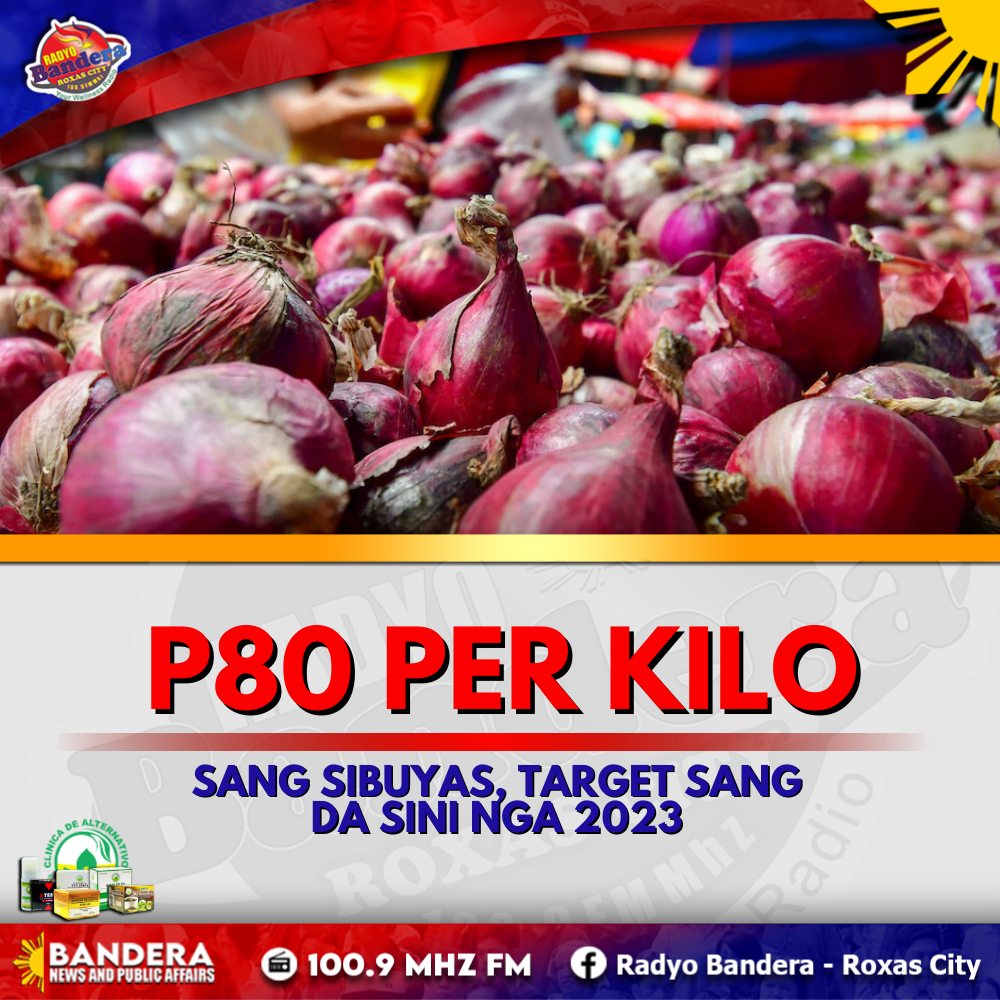 NEGOSYO | P80 PER KILO SANG SIBUYAS, TARGET SANG DA SINI NGA 2023