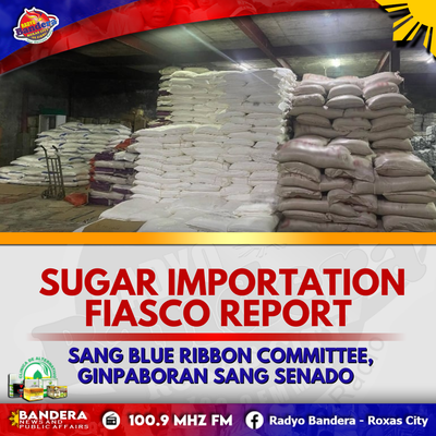 NATIONAL | SUGAR IMPORTATION FIASCO REPORT SANG BLUE RIBBON COMMITTEE, GINPABORAN SANG SENADO