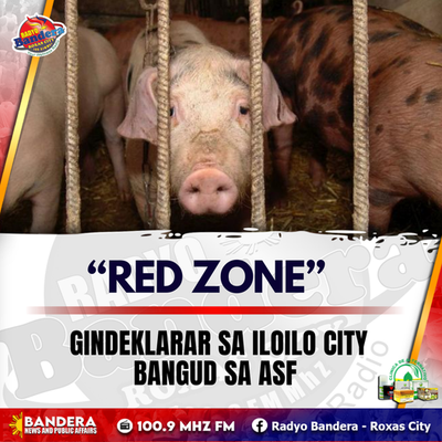 REGIONAL | “RED ZONE” GINDEKLARAR SA ILOILO CITY BANGUD SA ASF