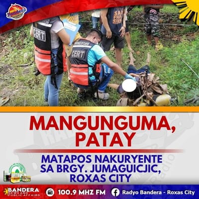 MANGUNGUMA, PATAY MATAPOS NAKURYENTE SA BRGY. JUMAGUICJIC, ROXAS CITY