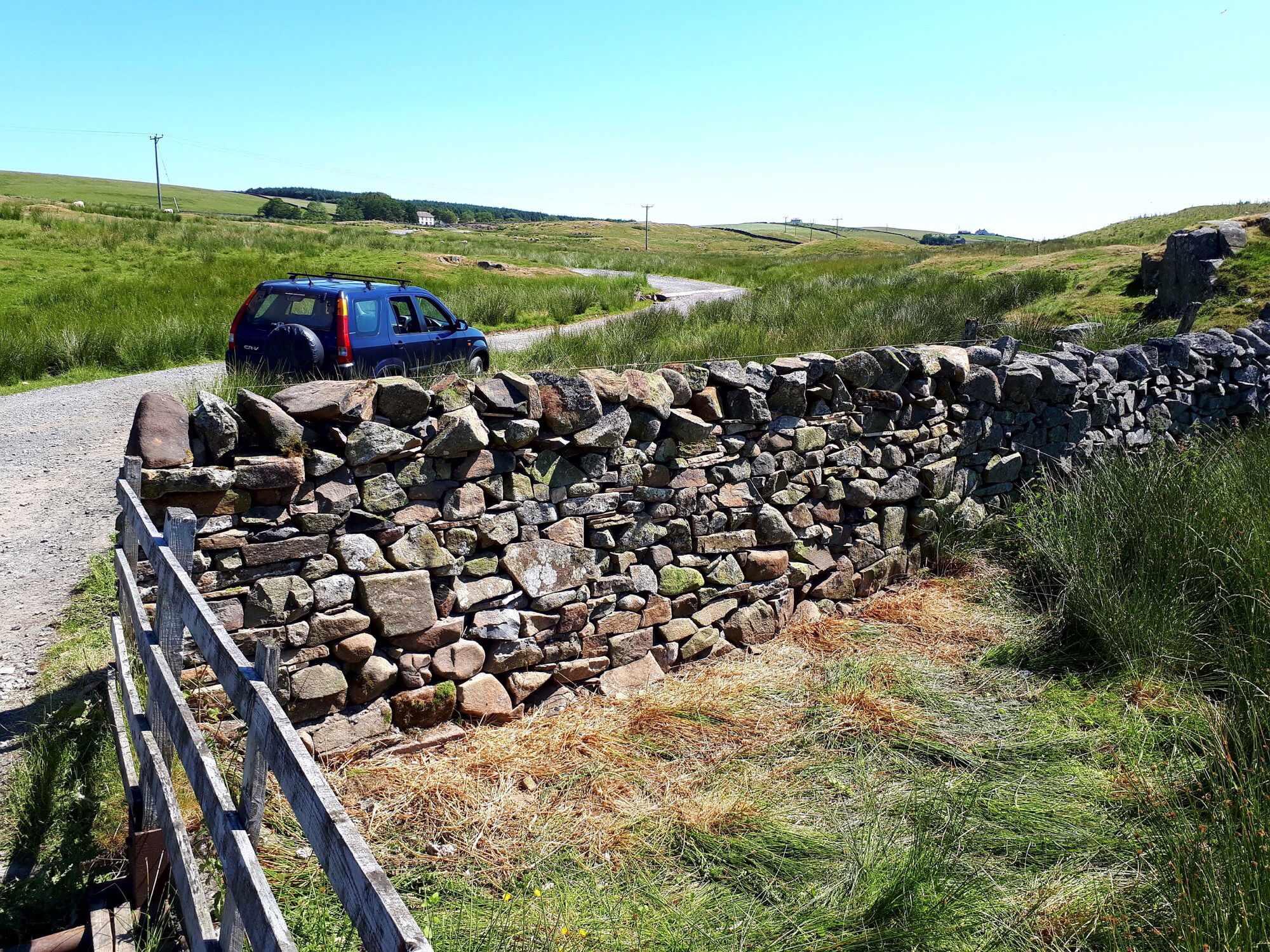 Whinstone walling