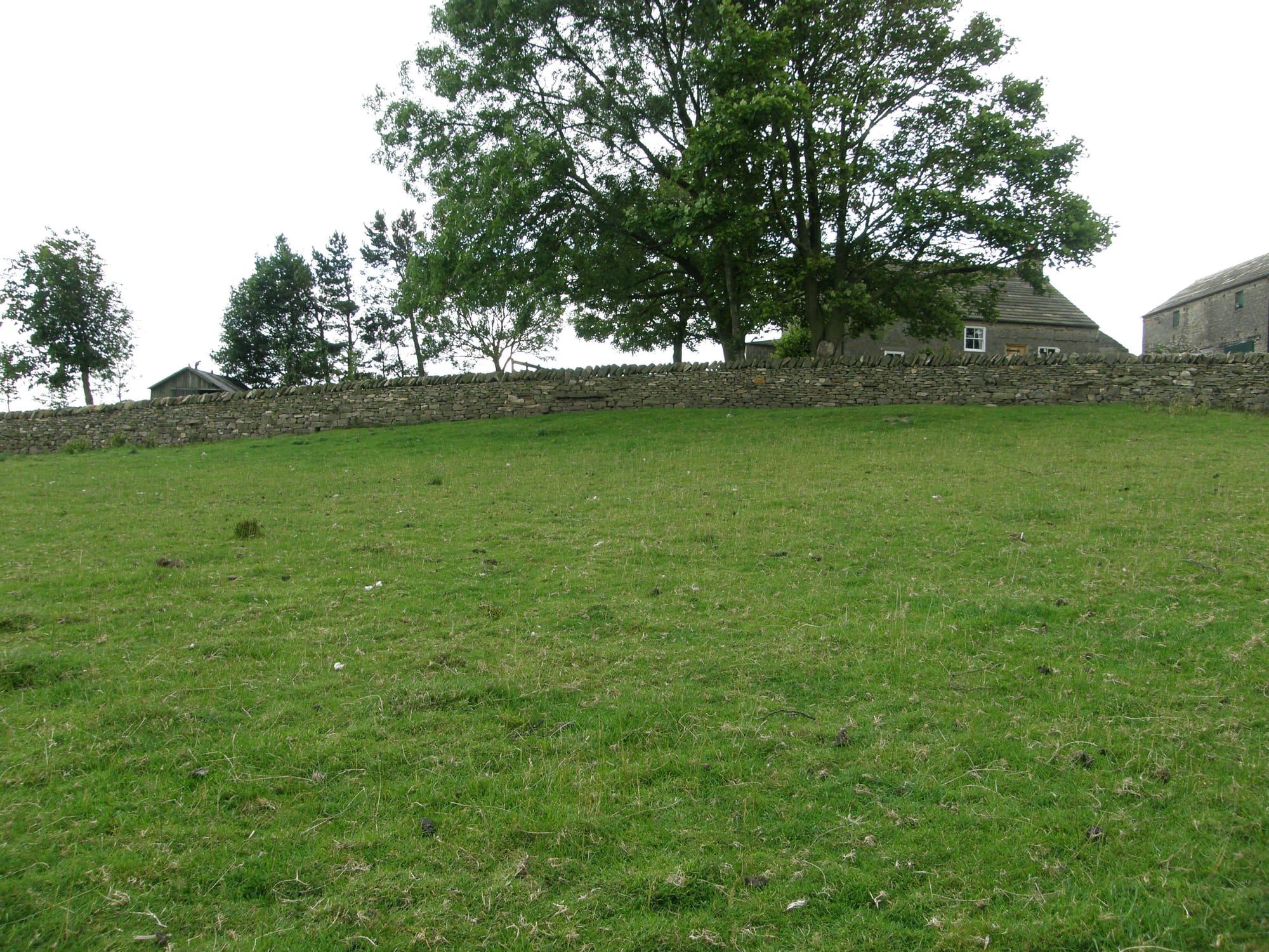 The Cope-line and the landscape