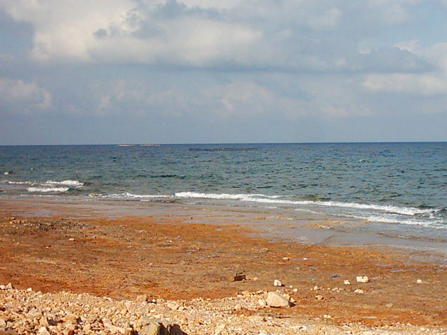 جانب من سابقة أعمال مجموعة الدرع