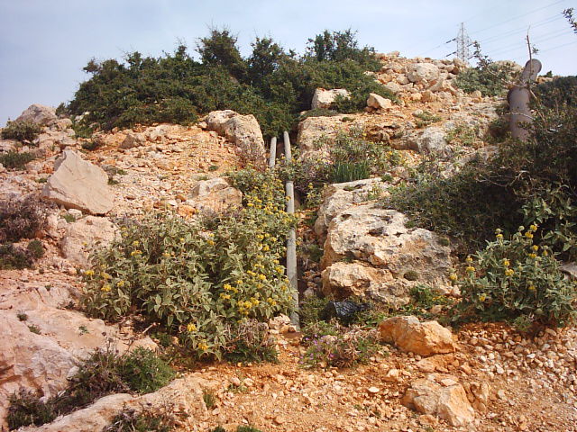 من سابقة أعمال مجموعة الدرع