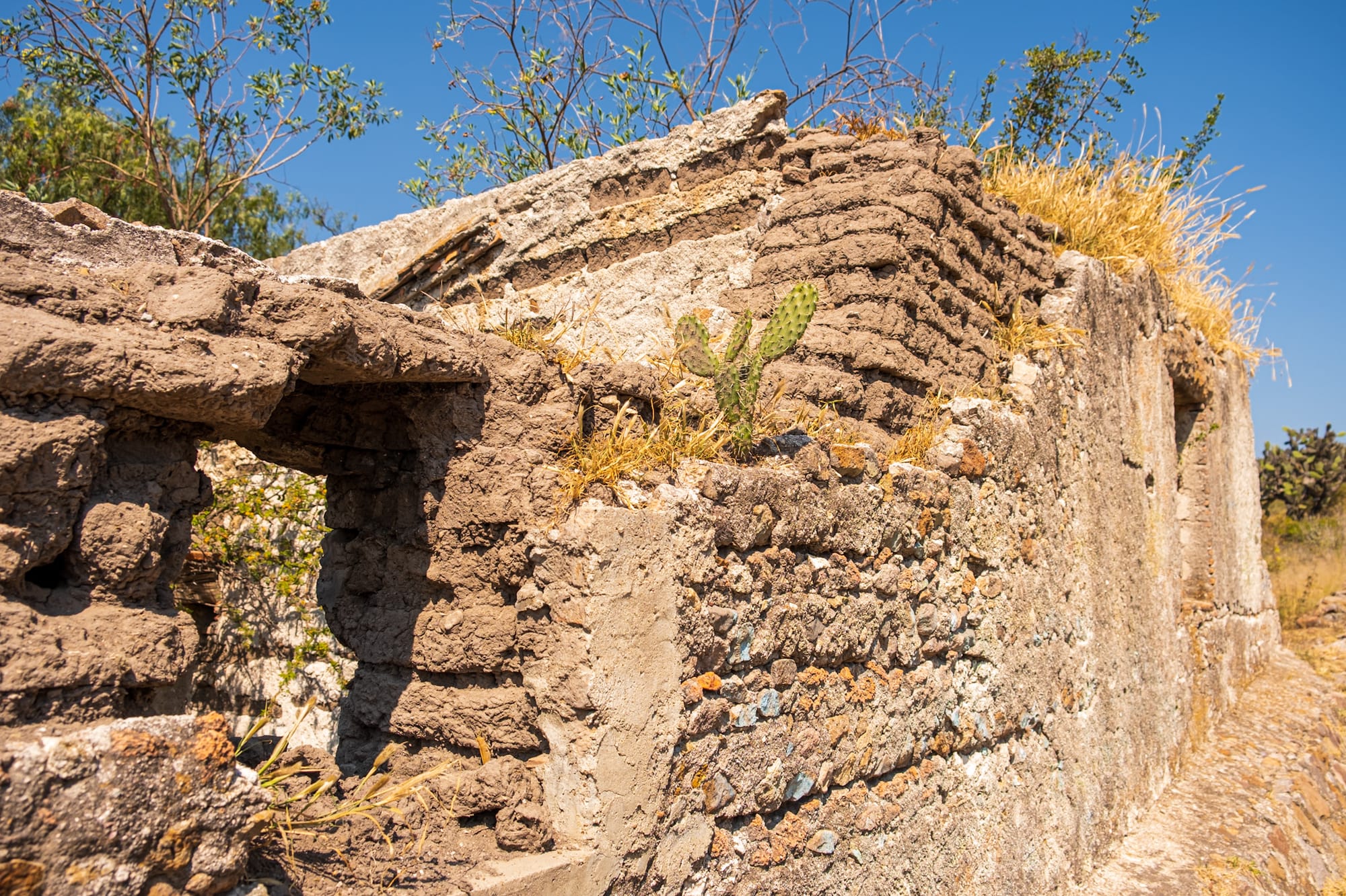 Jardin botanique El Charco Del Ingenio