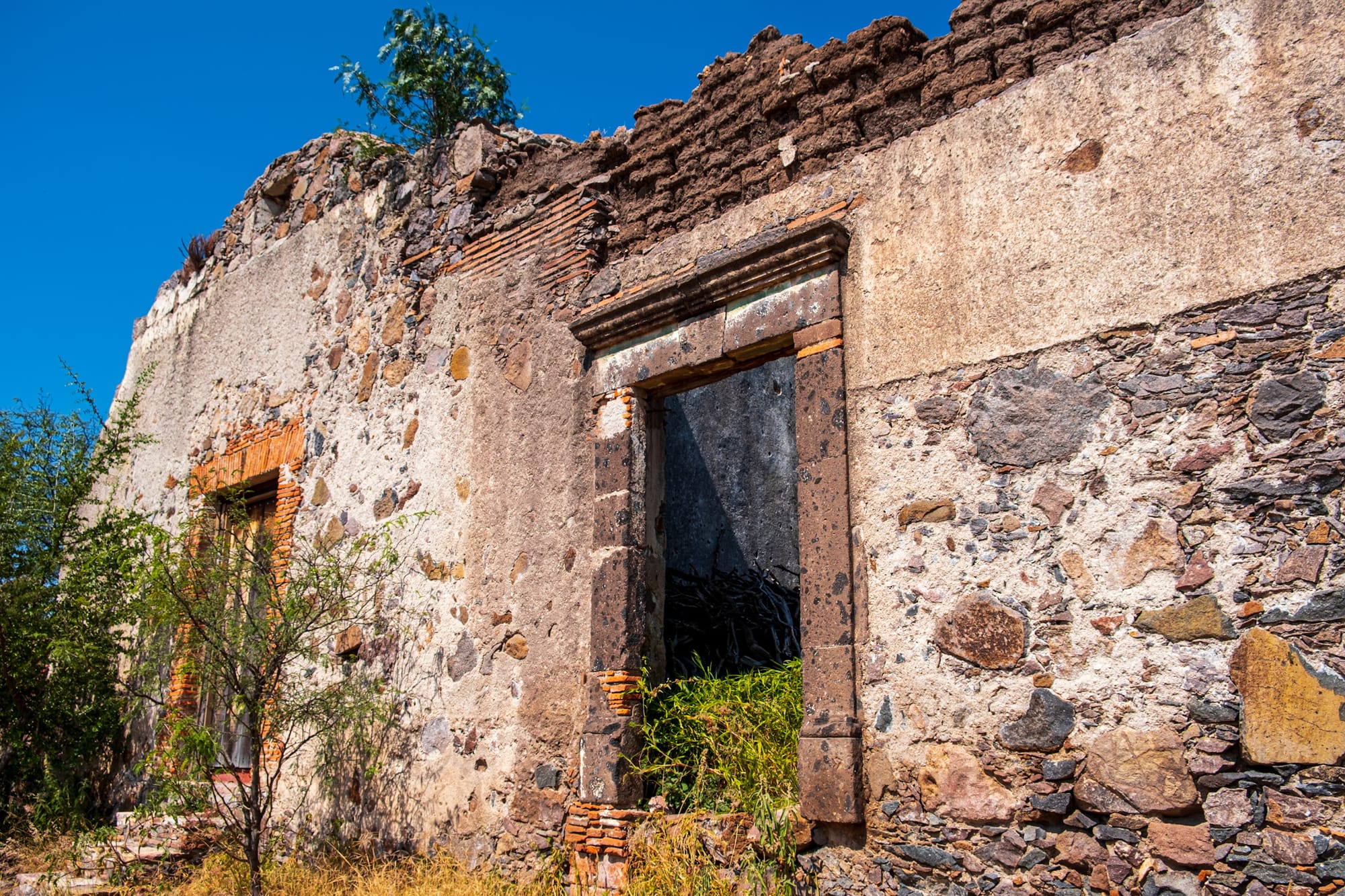 Jardin botanique El Charco Del Ingenio