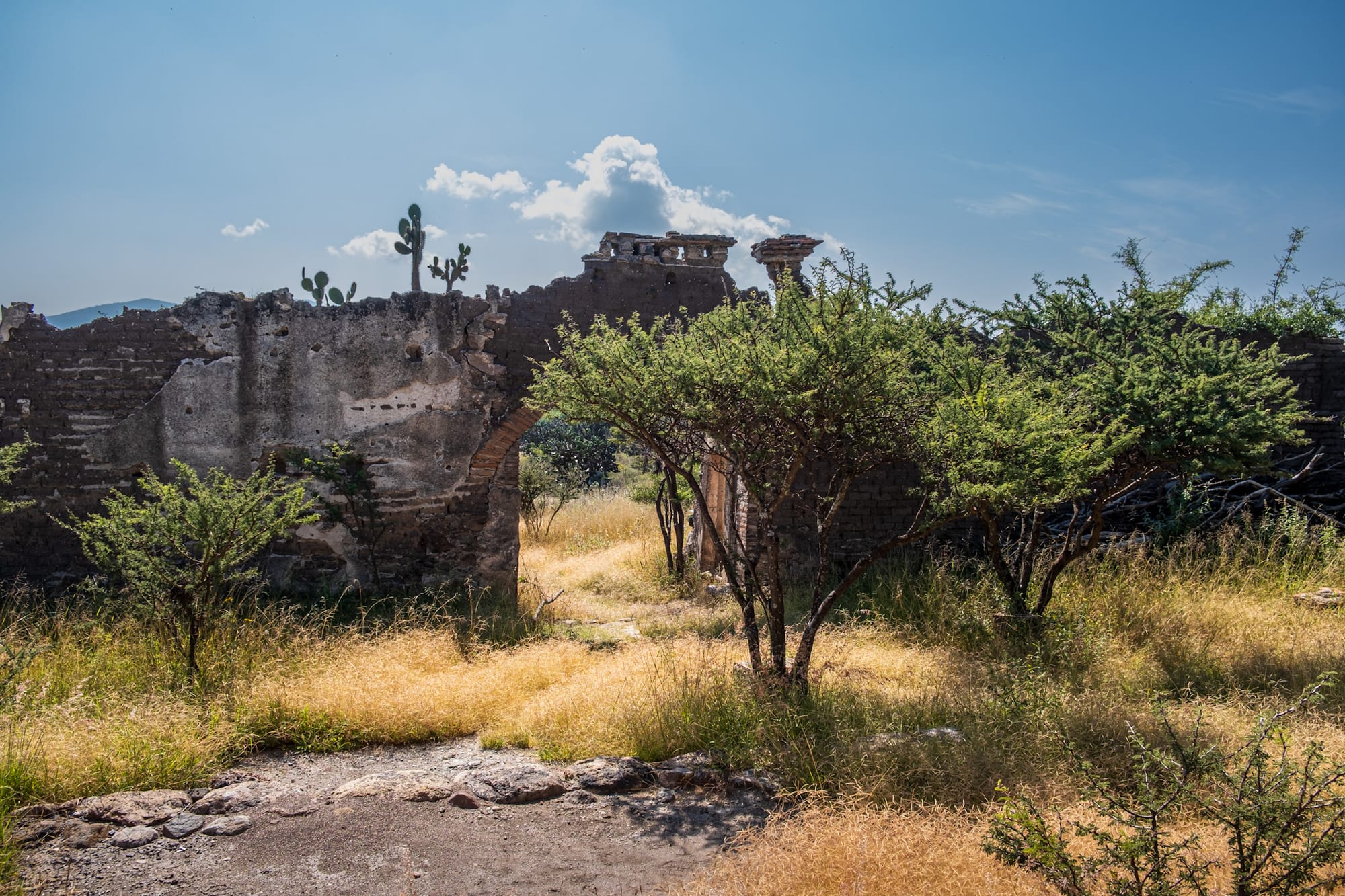 Jardin botanique El Charco Del Ingenio