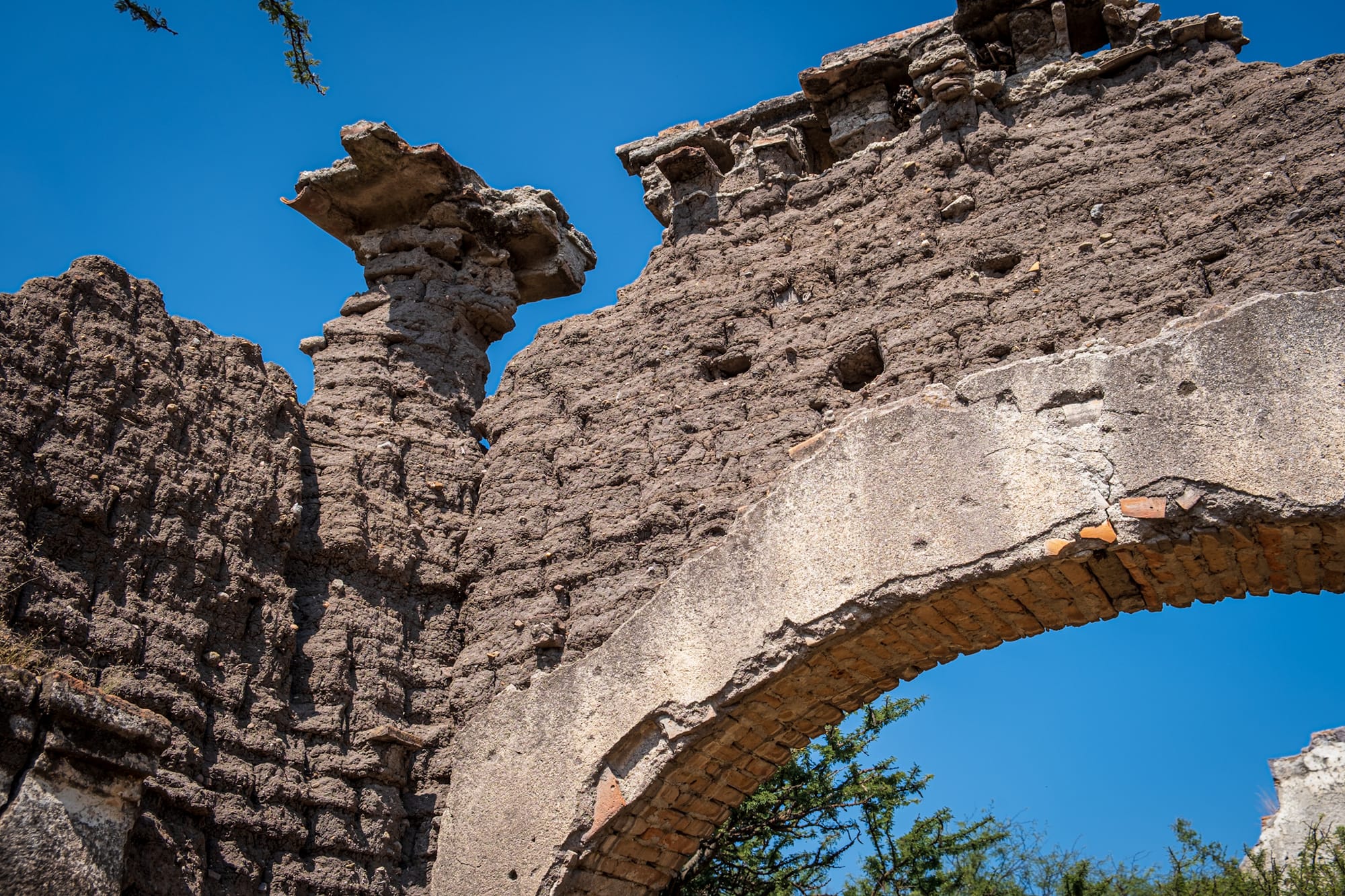 Jardin botanique El Charco Del Ingenio