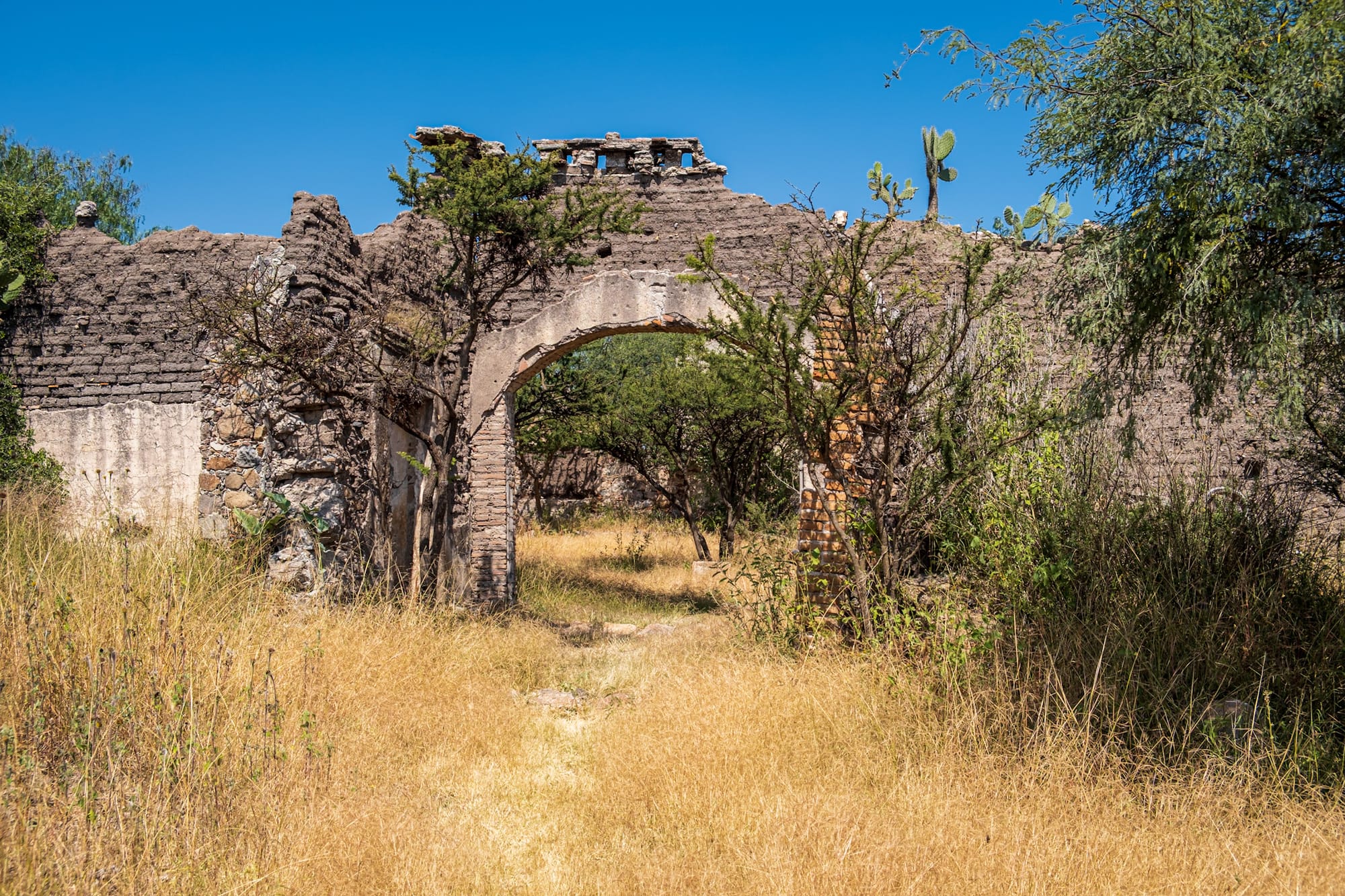 Jardin botanique El Charco Del Ingenio