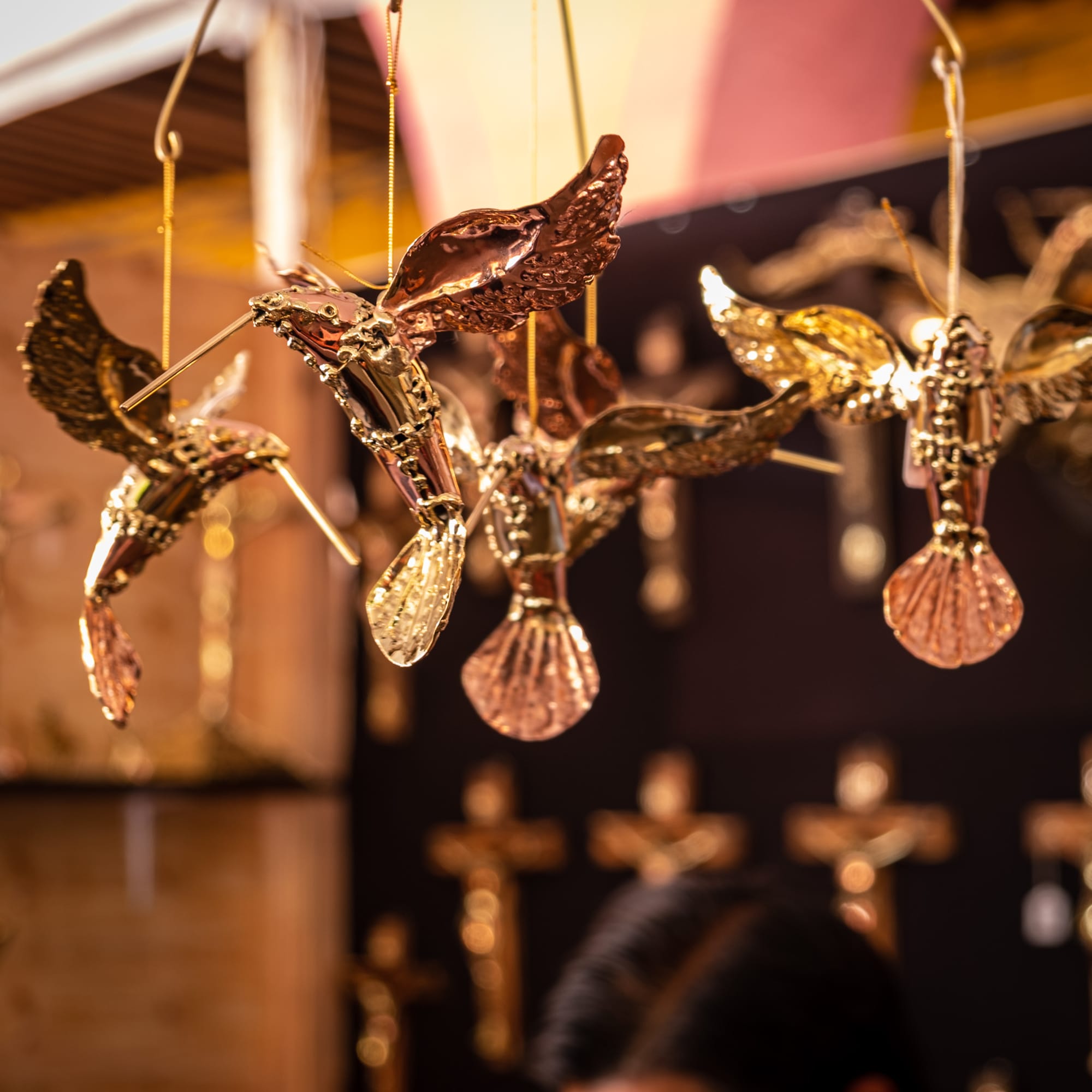 Fin de semaine thématique 5 et 6 novembre 2022