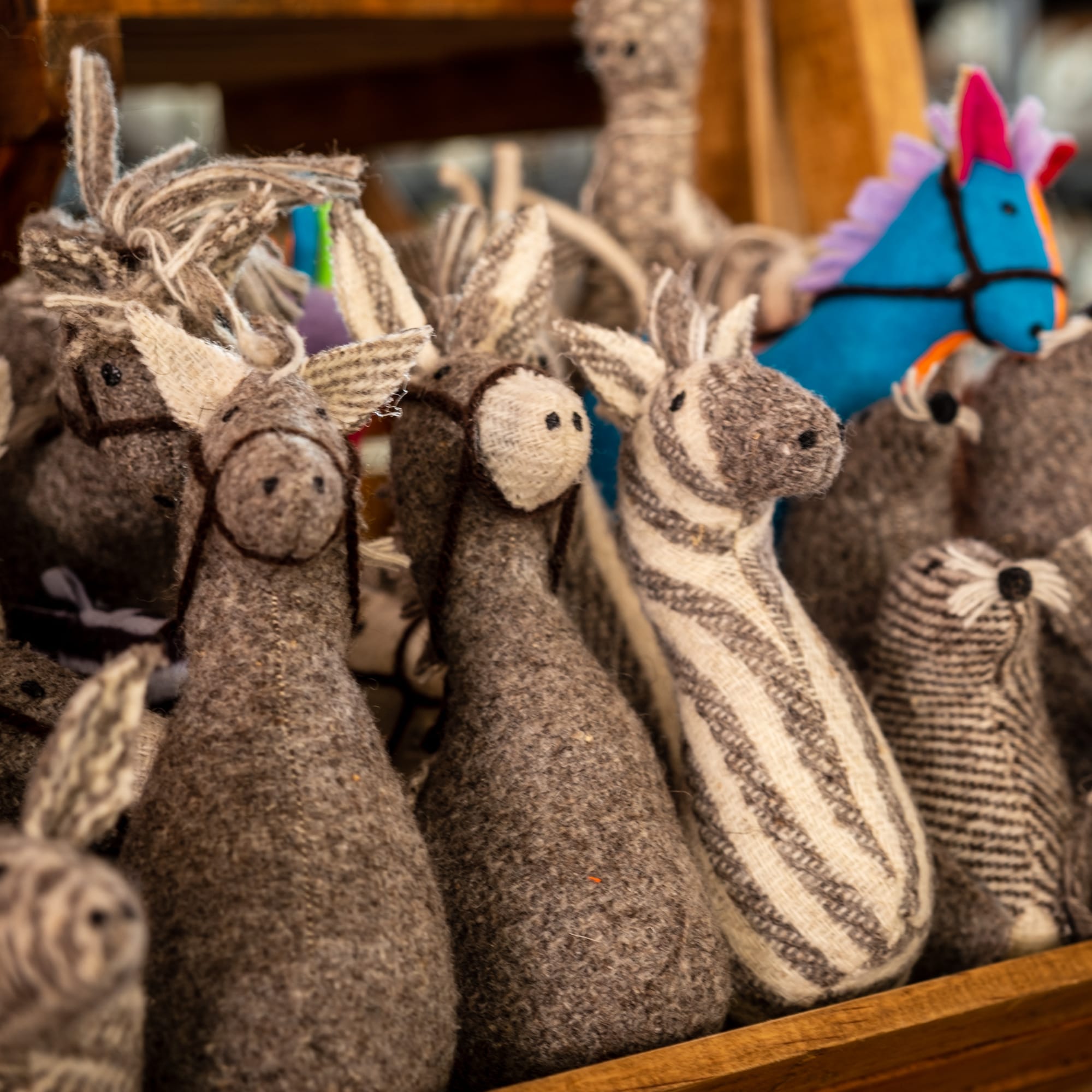 Fin de semaine thématique 5 et 6 novembre 2022