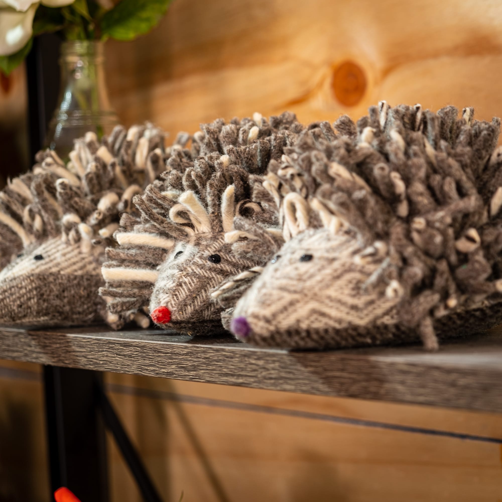 Fin de semaine thématique 5 et 6 novembre 2022