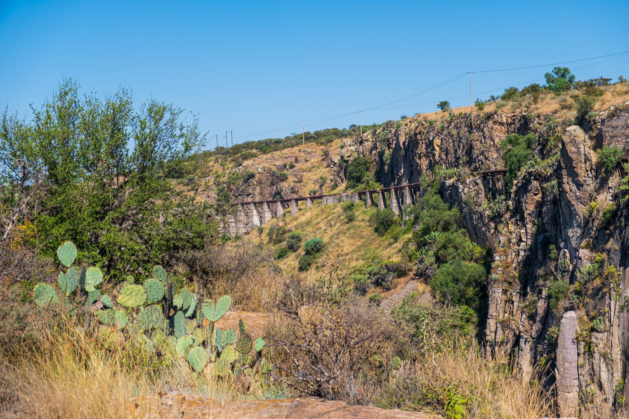 Jardin botanique El Charco Del Ingenio