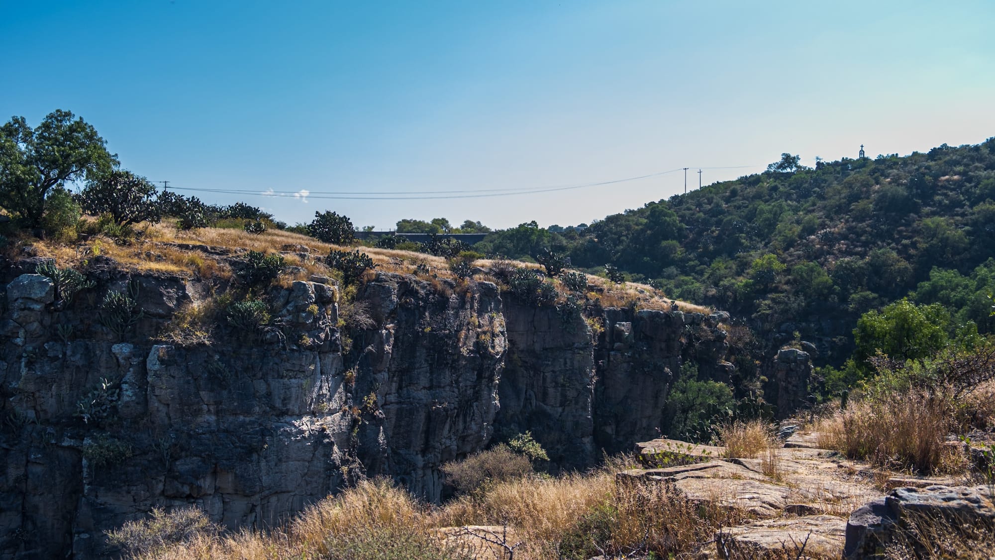 Jardin botanique El Charco Del Ingenio
