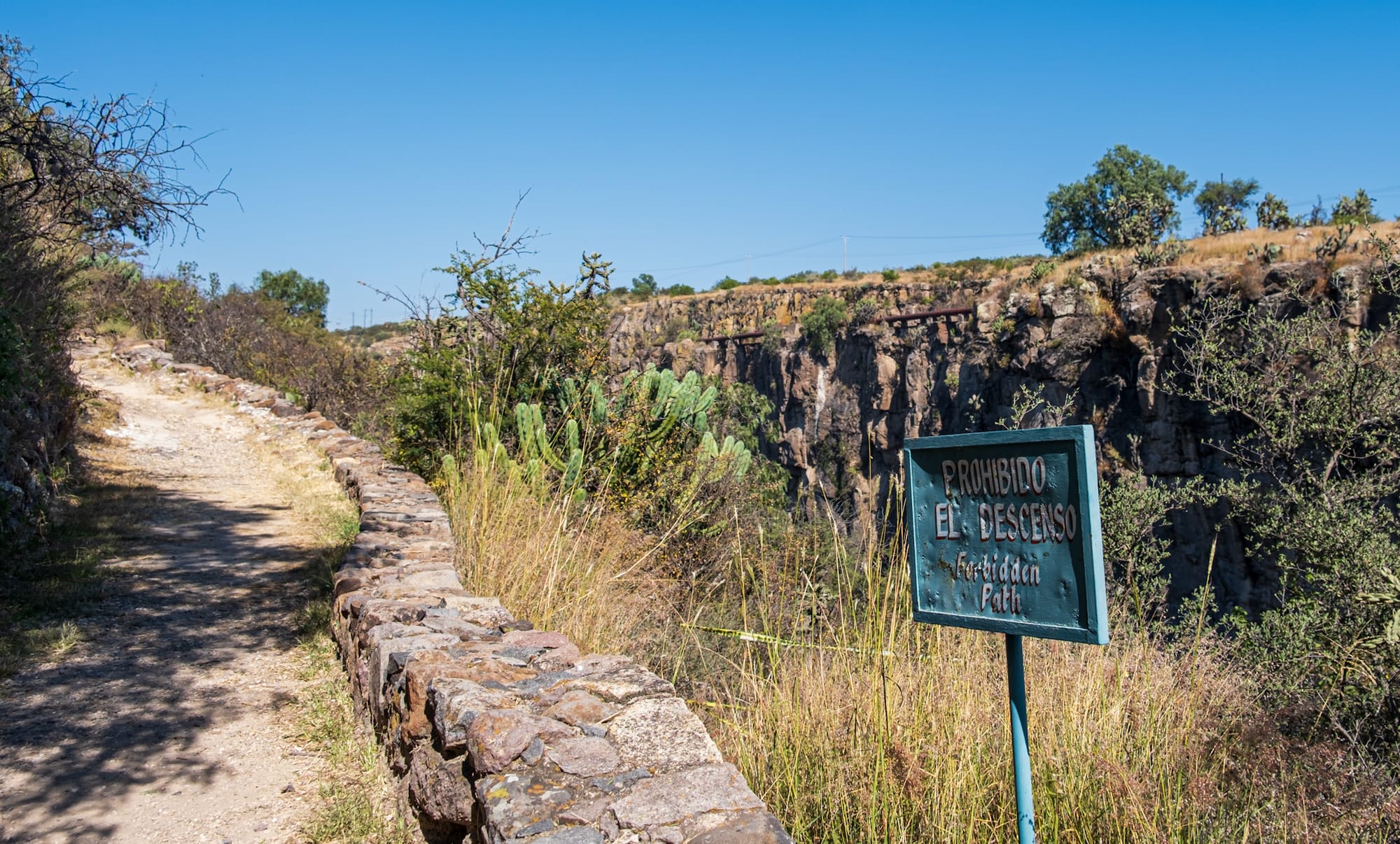 Jardin botanique El Charco Del Ingenio