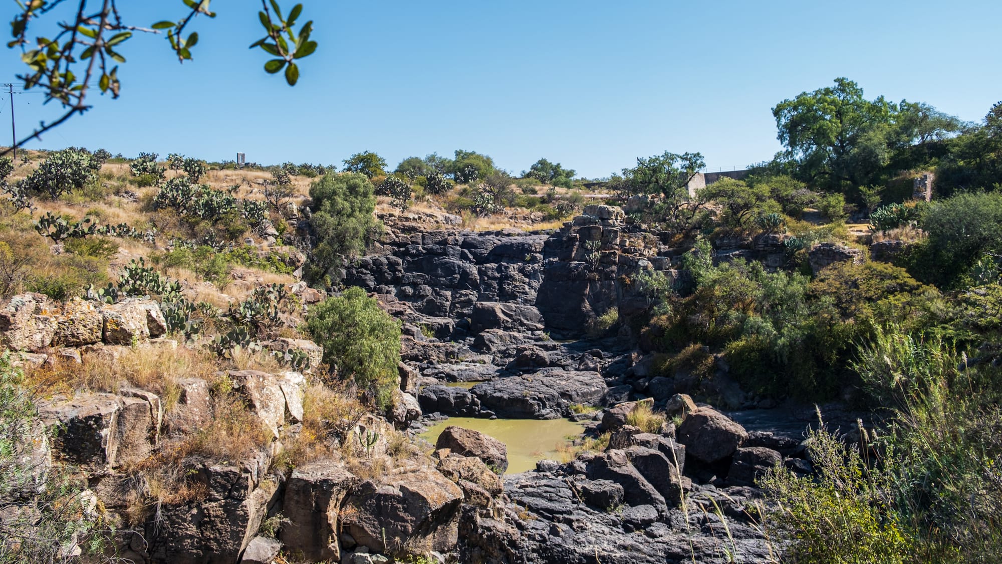 Jardin botanique El Charco Del Ingenio