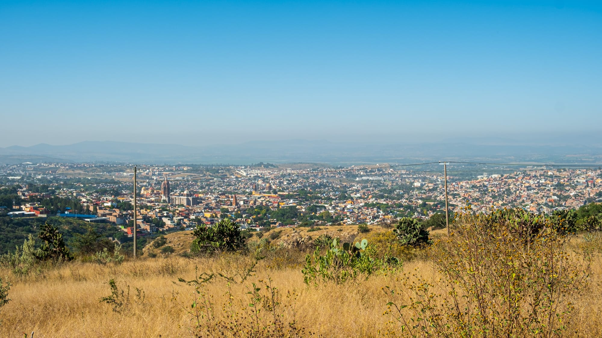 Jardin botanique El Charco Del Ingenio