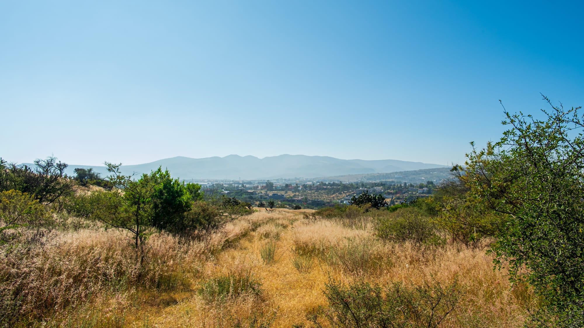 Jardin botanique El Charco Del Ingenio
