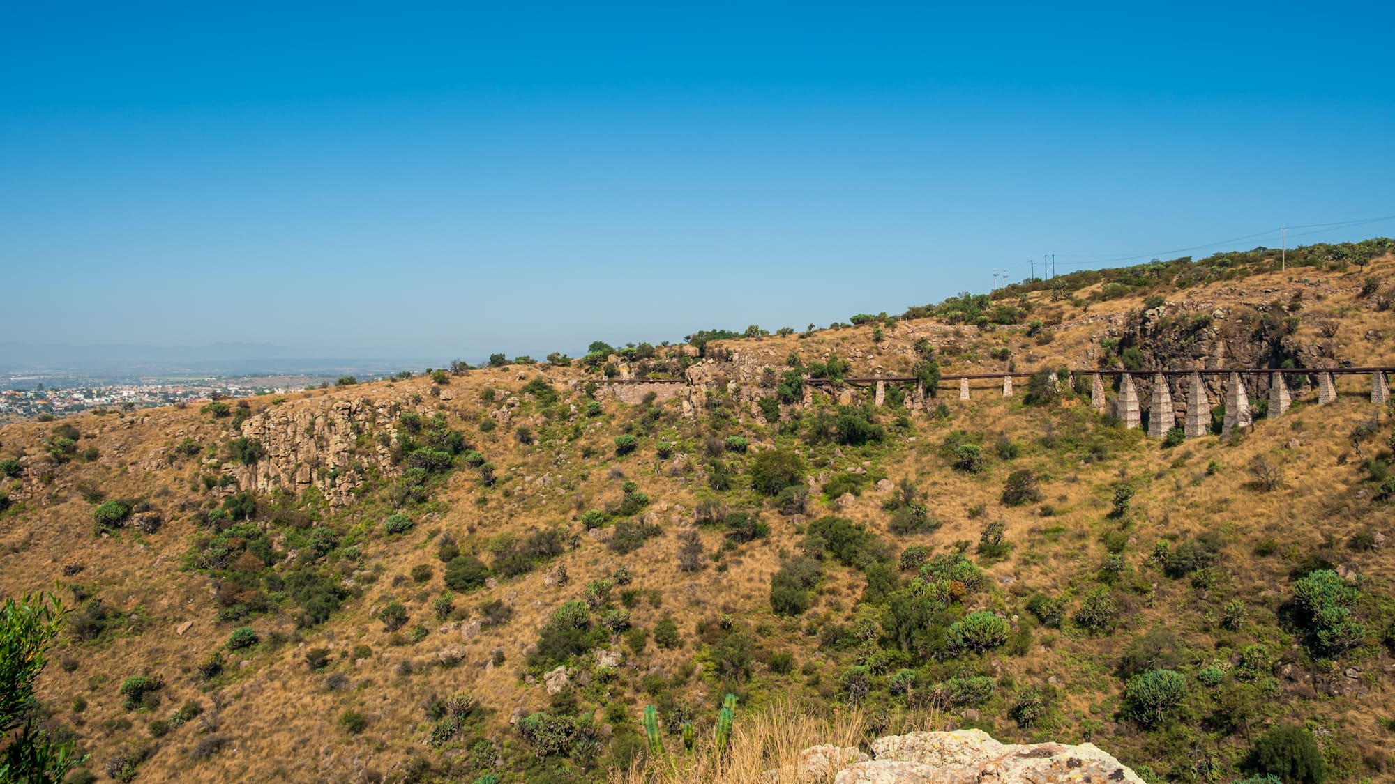 Jardin botanique El Charco Del Ingenio