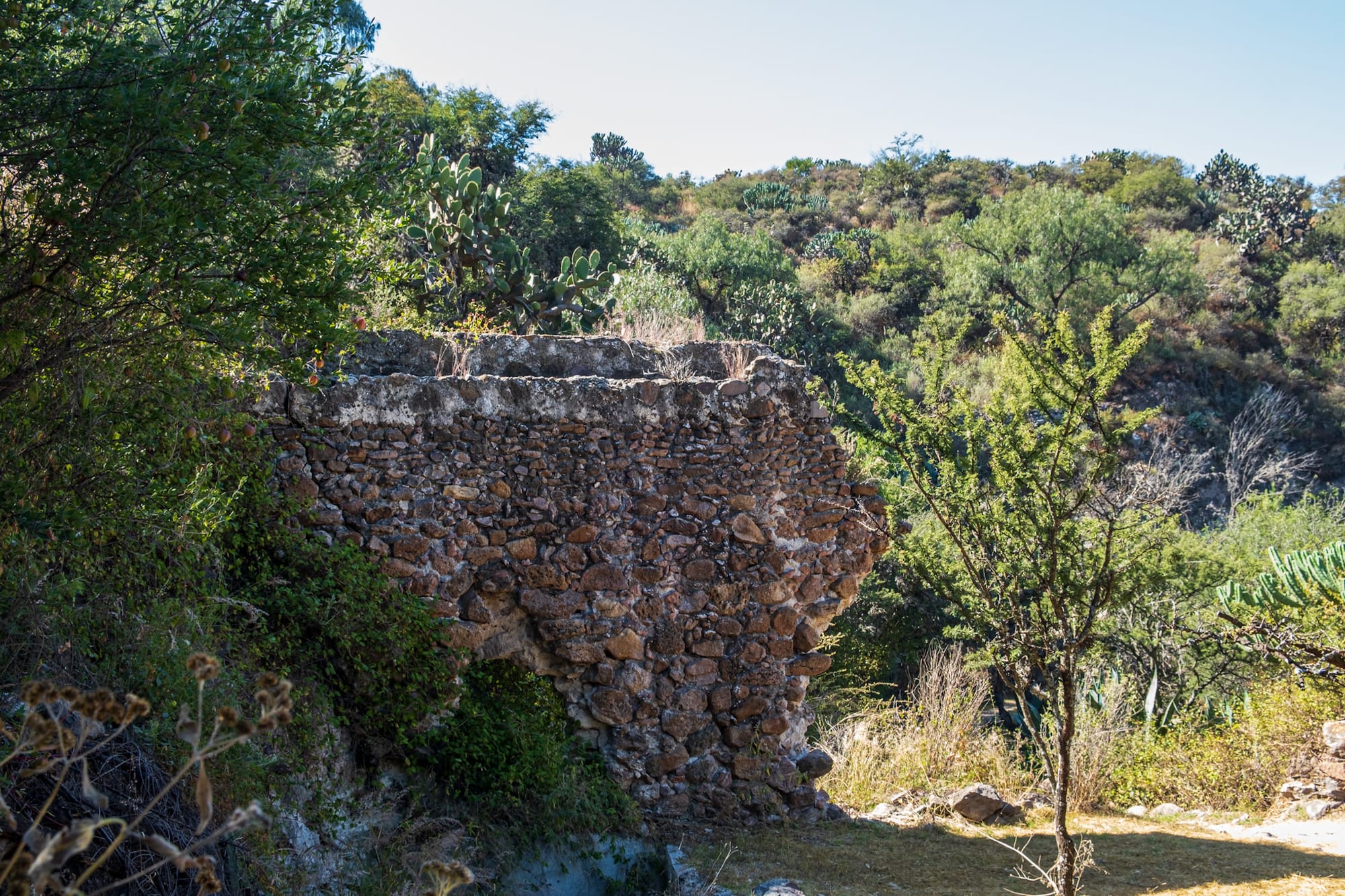 Jardin botanique El Charco Del Ingenio