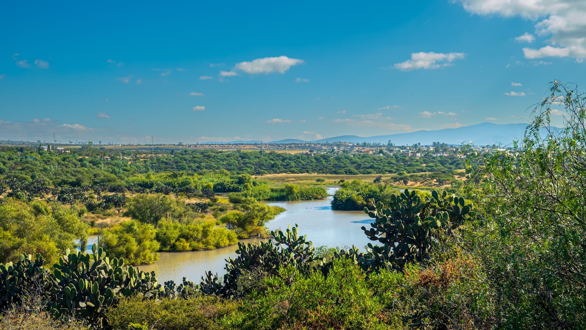 Jardin botanique El Charco Del Ingenio