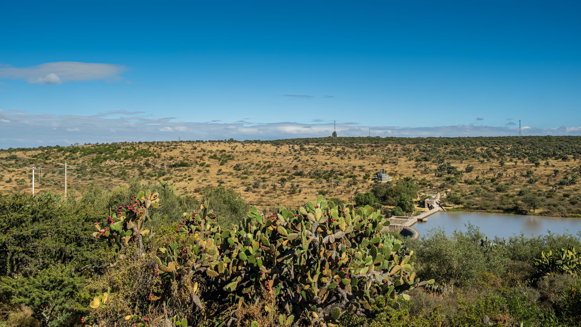 Jardin botanique El Charco Del Ingenio