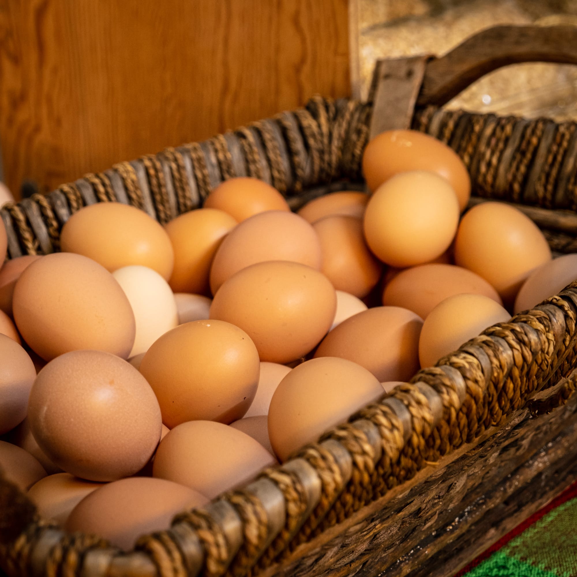 Le marché public biologique du samedi