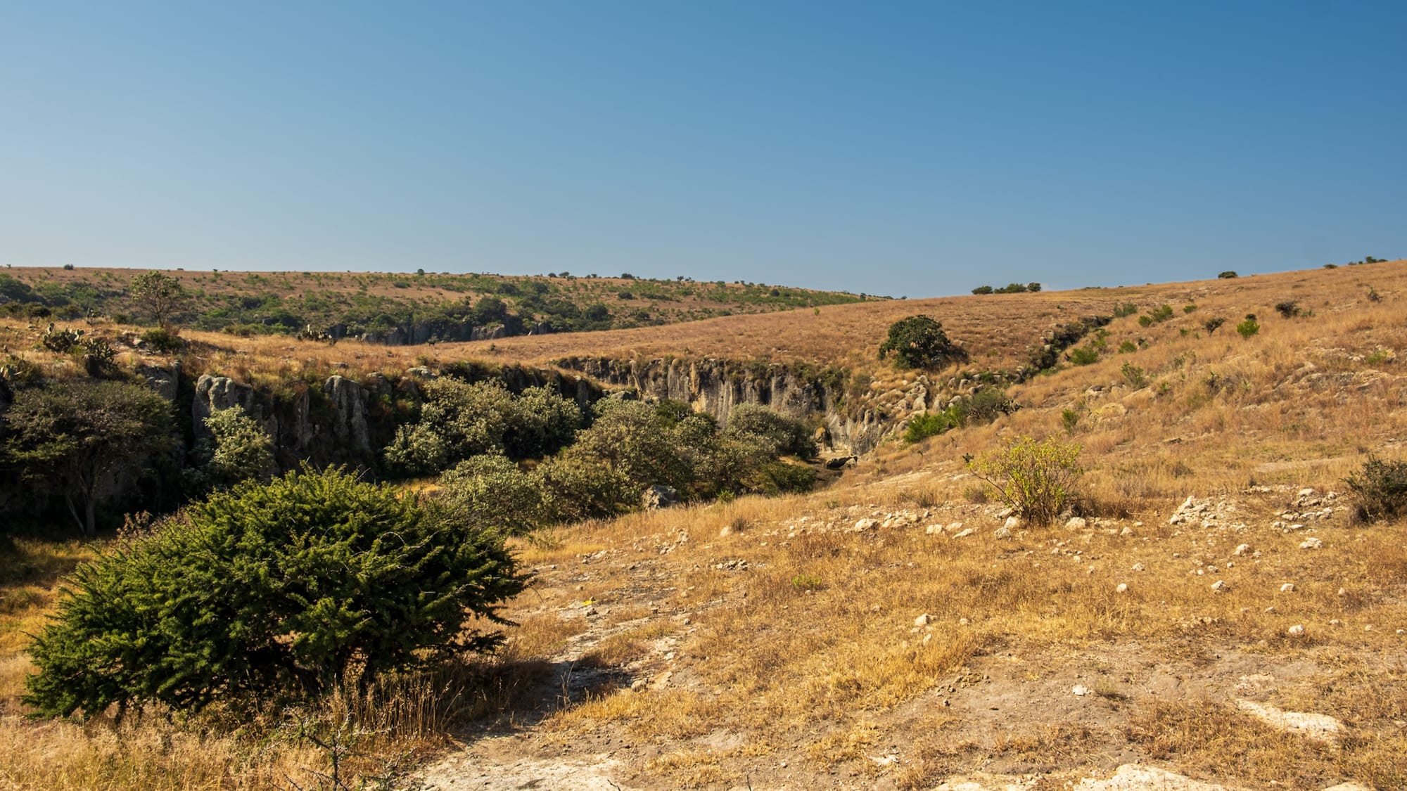 Pyramide à degrés méso-américaine 