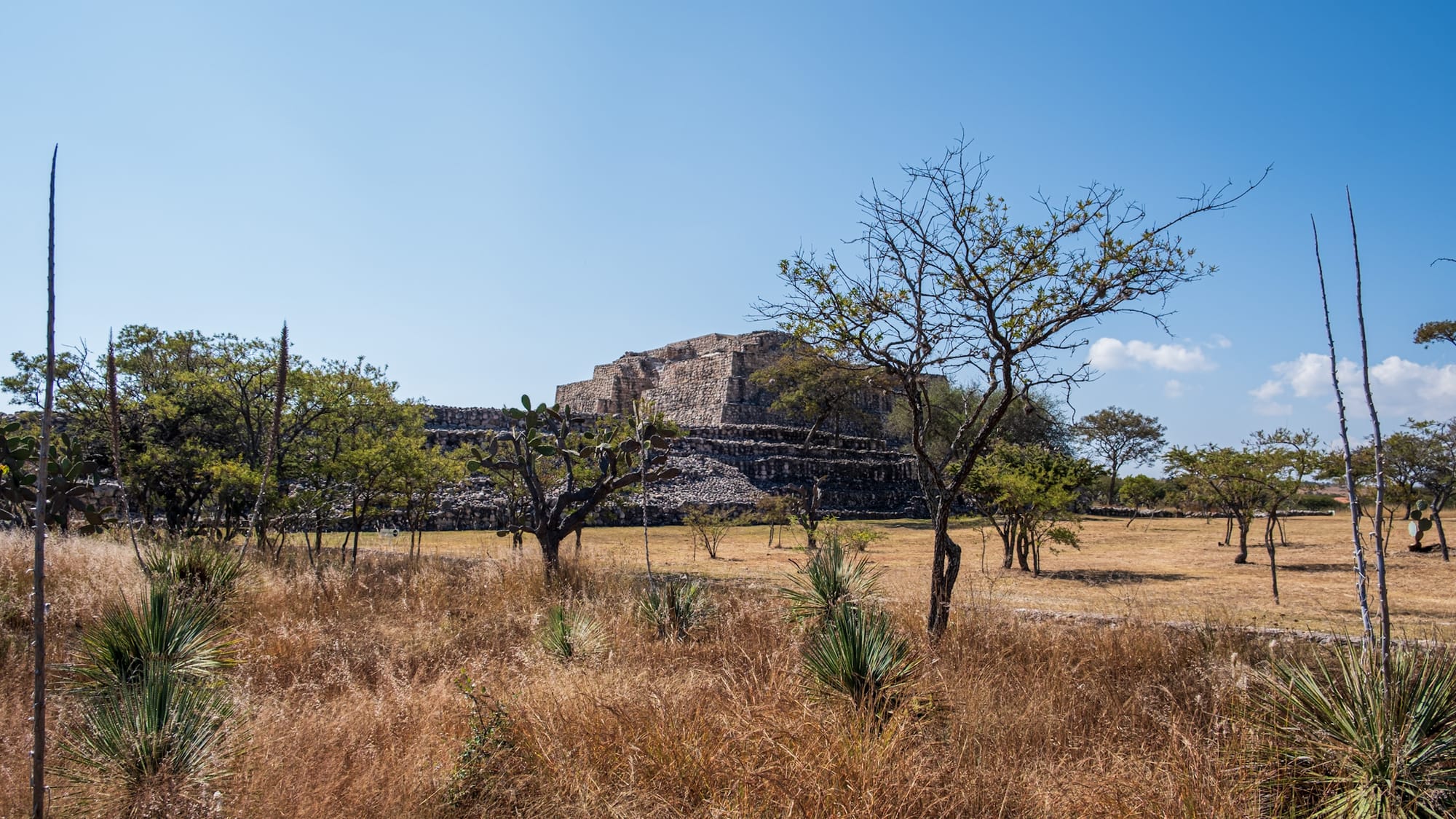 Pyramide à degrés méso-américaine 