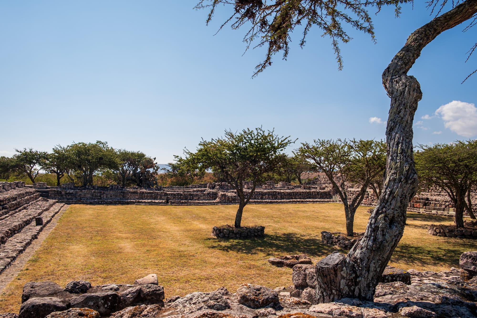 Pyramide à degrés méso-américaine 