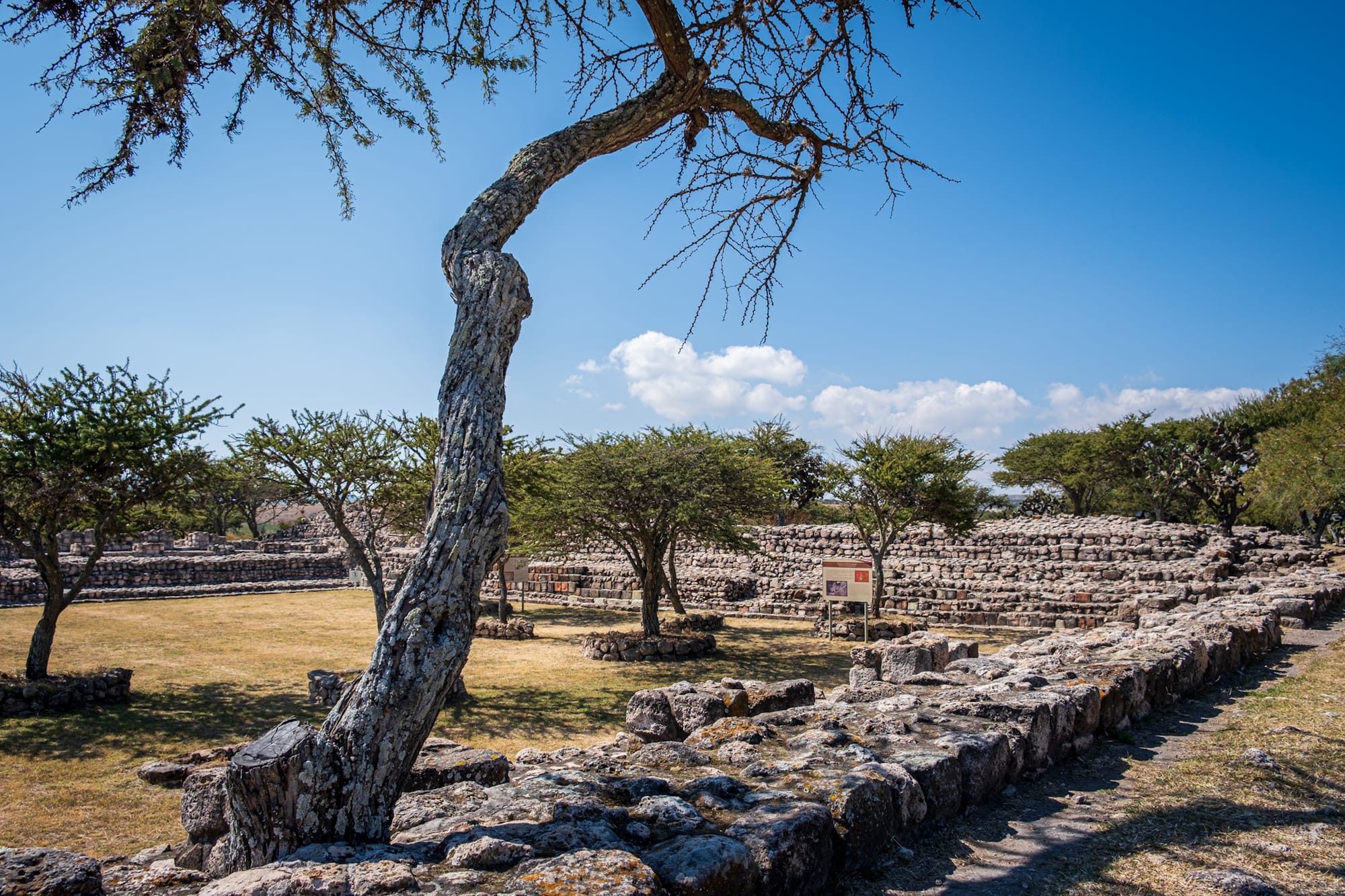 Pyramide à degrés méso-américaine 