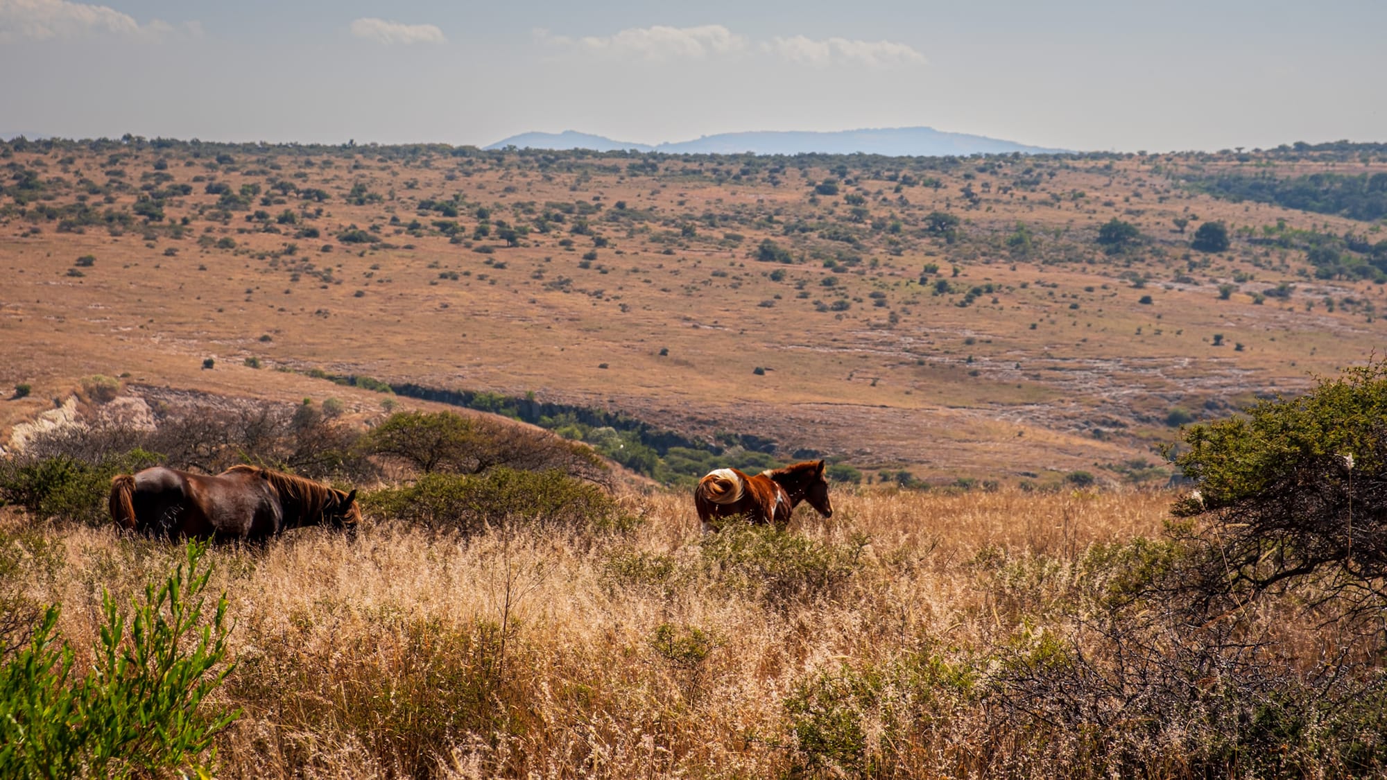 Pyramide à degrés méso-américaine 