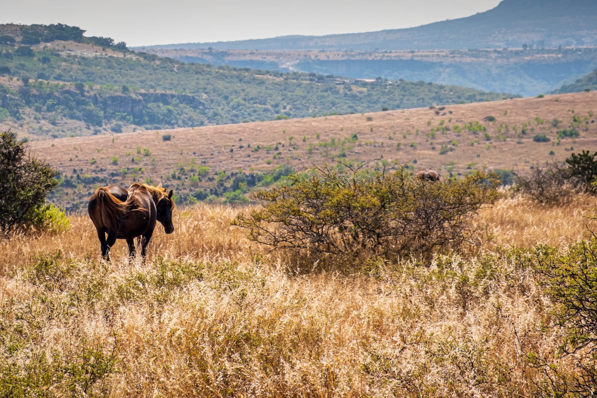 Pyramide à degrés méso-américaine 