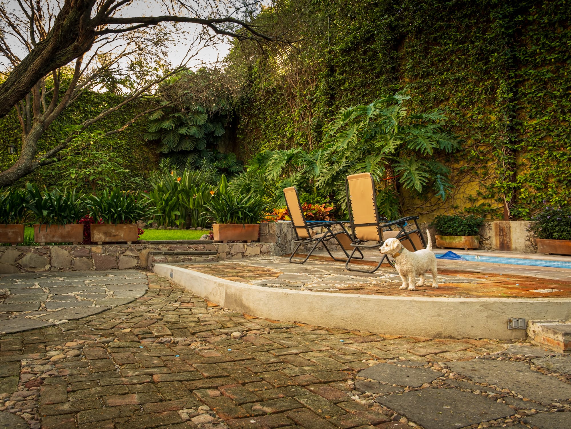 Deuxième hébergement  fabuleux