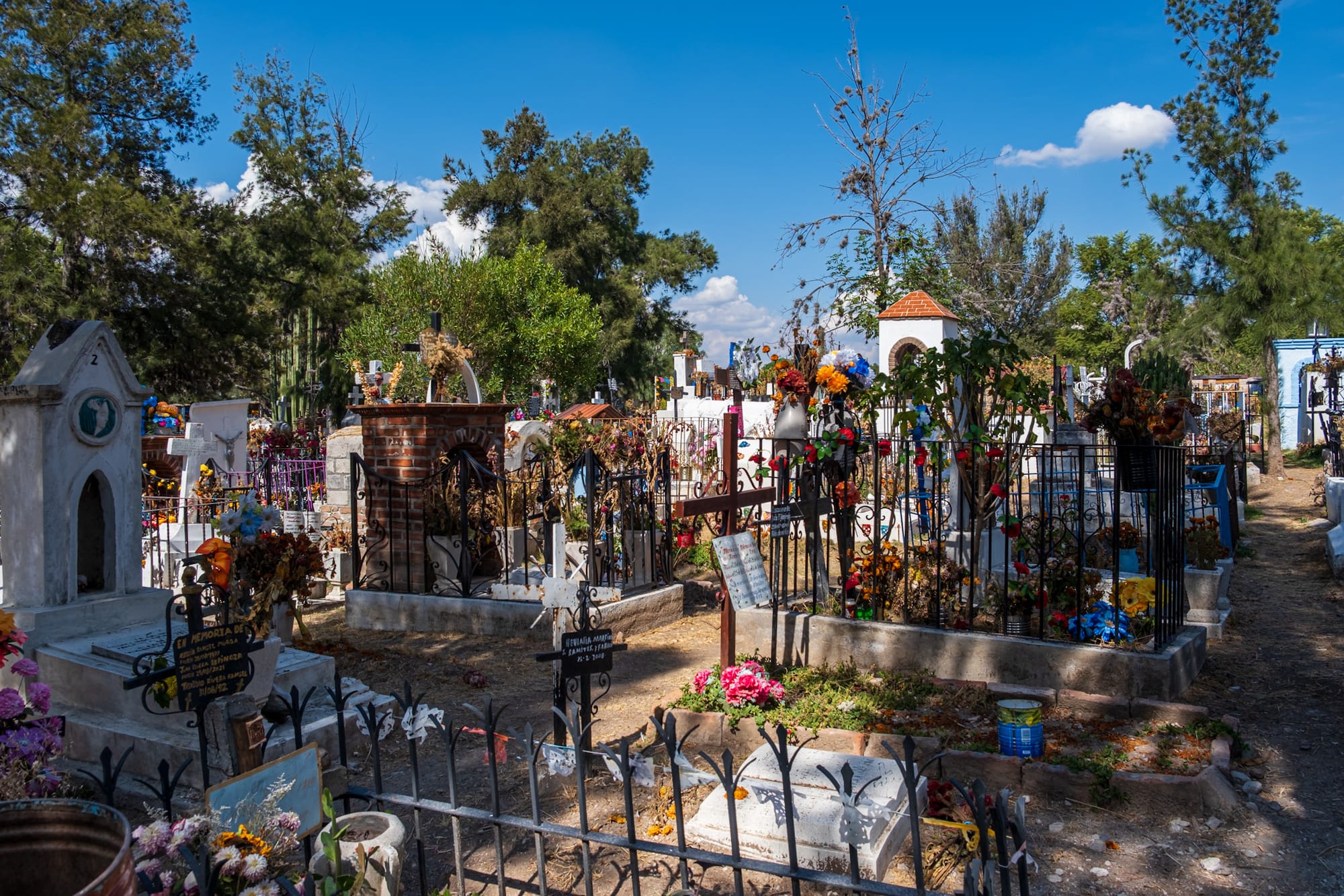 Couleurs et contraste