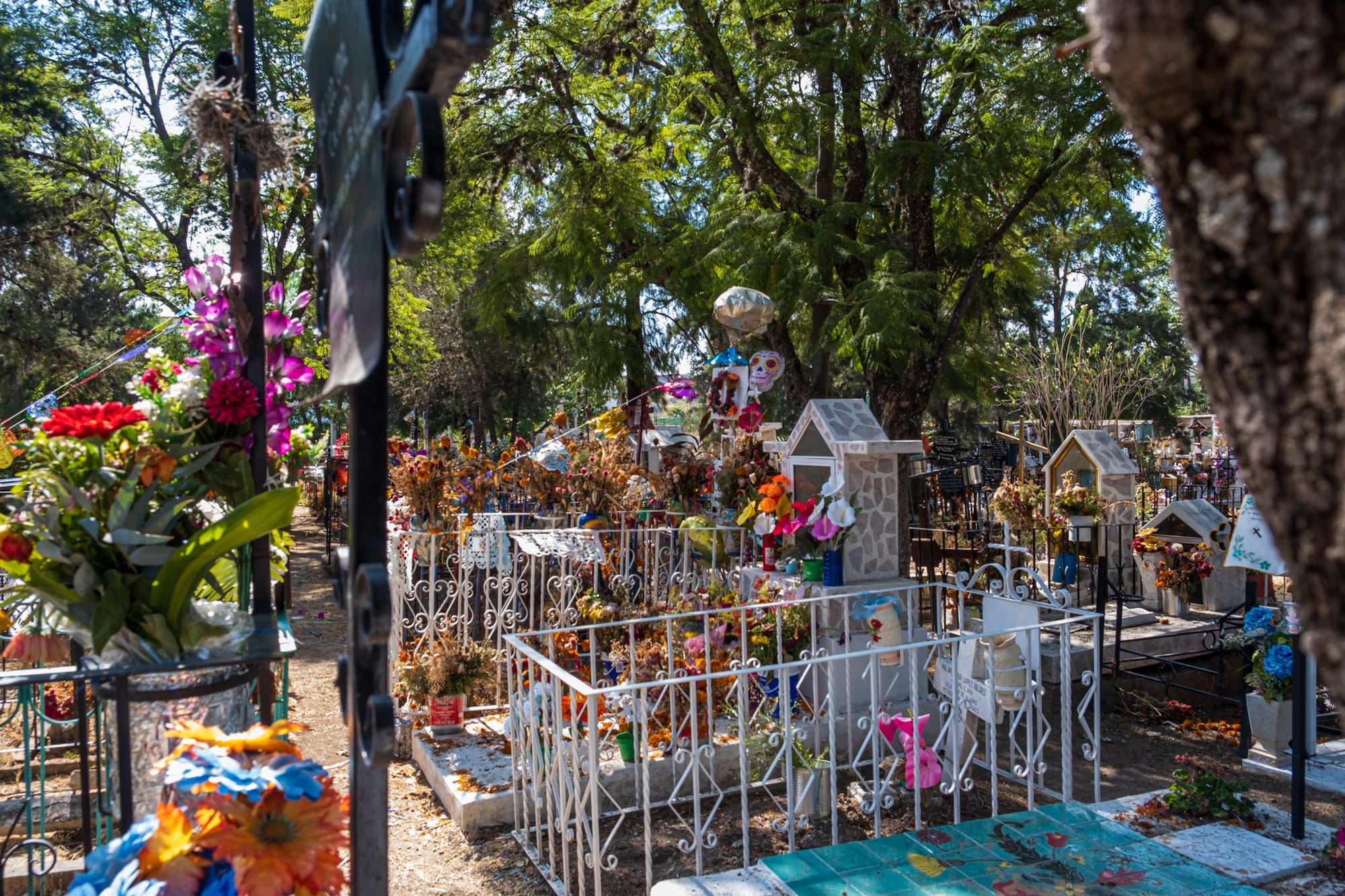 Couleurs et contraste