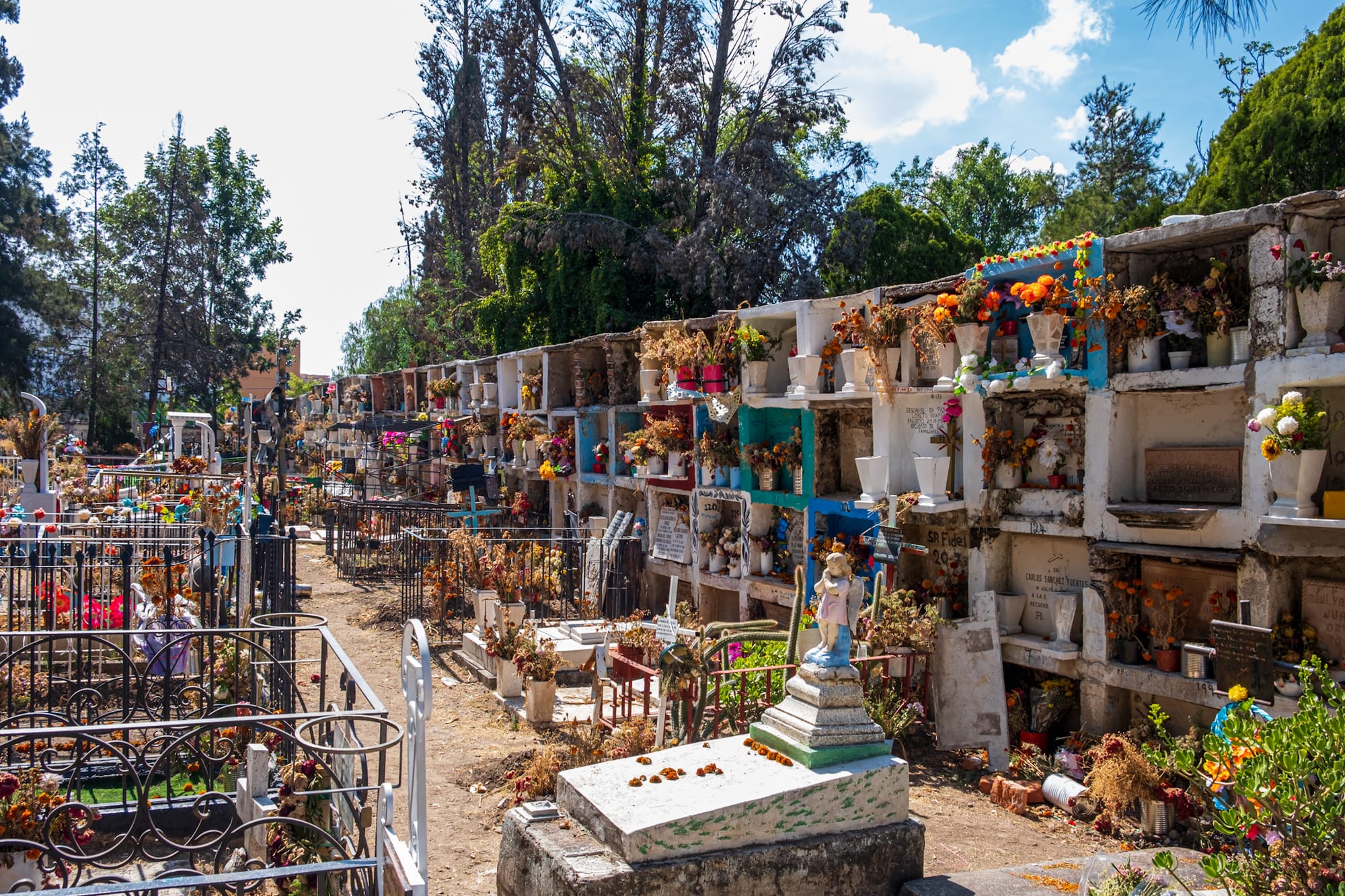 Couleurs et contraste