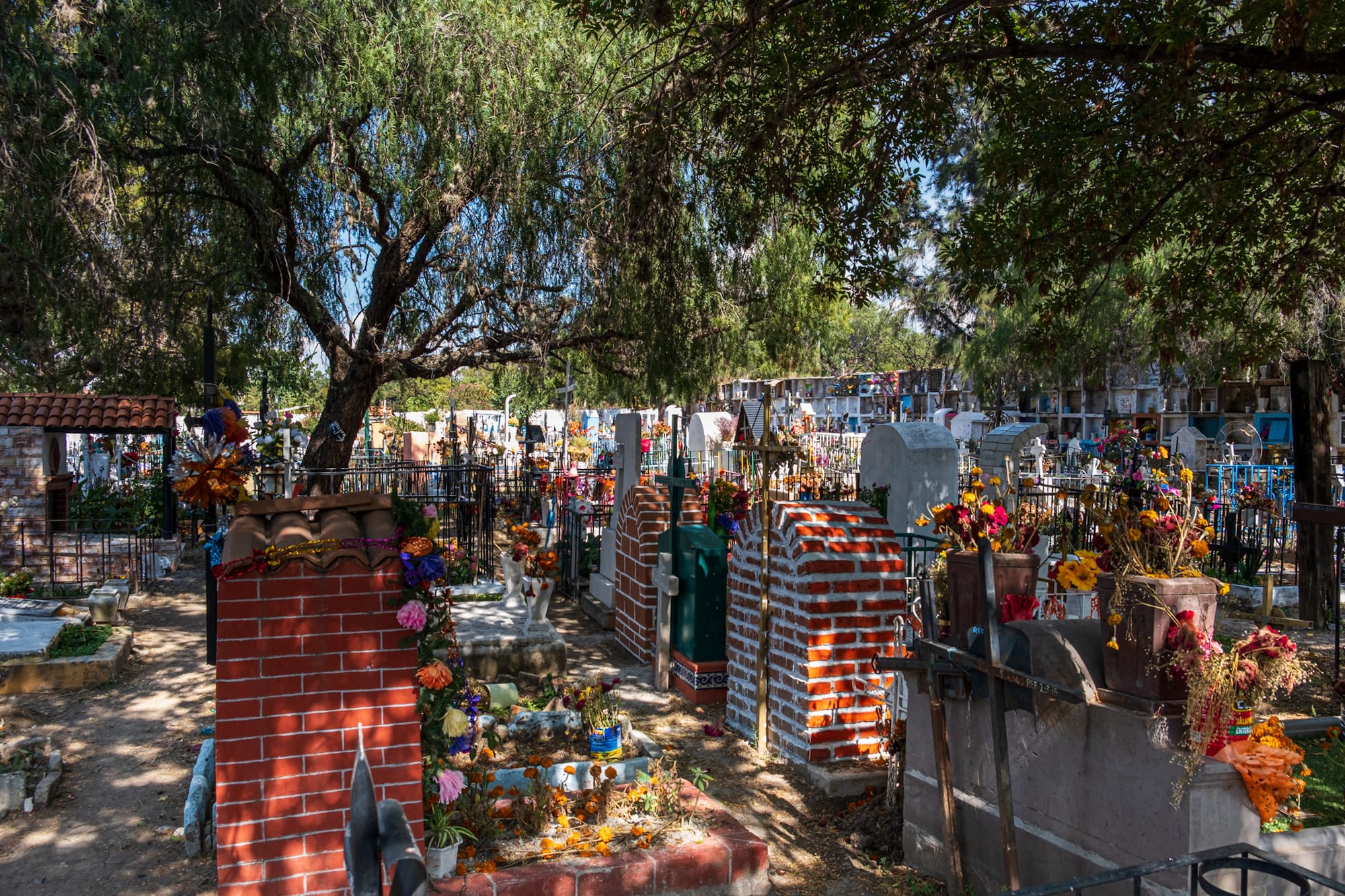 Couleurs et contraste