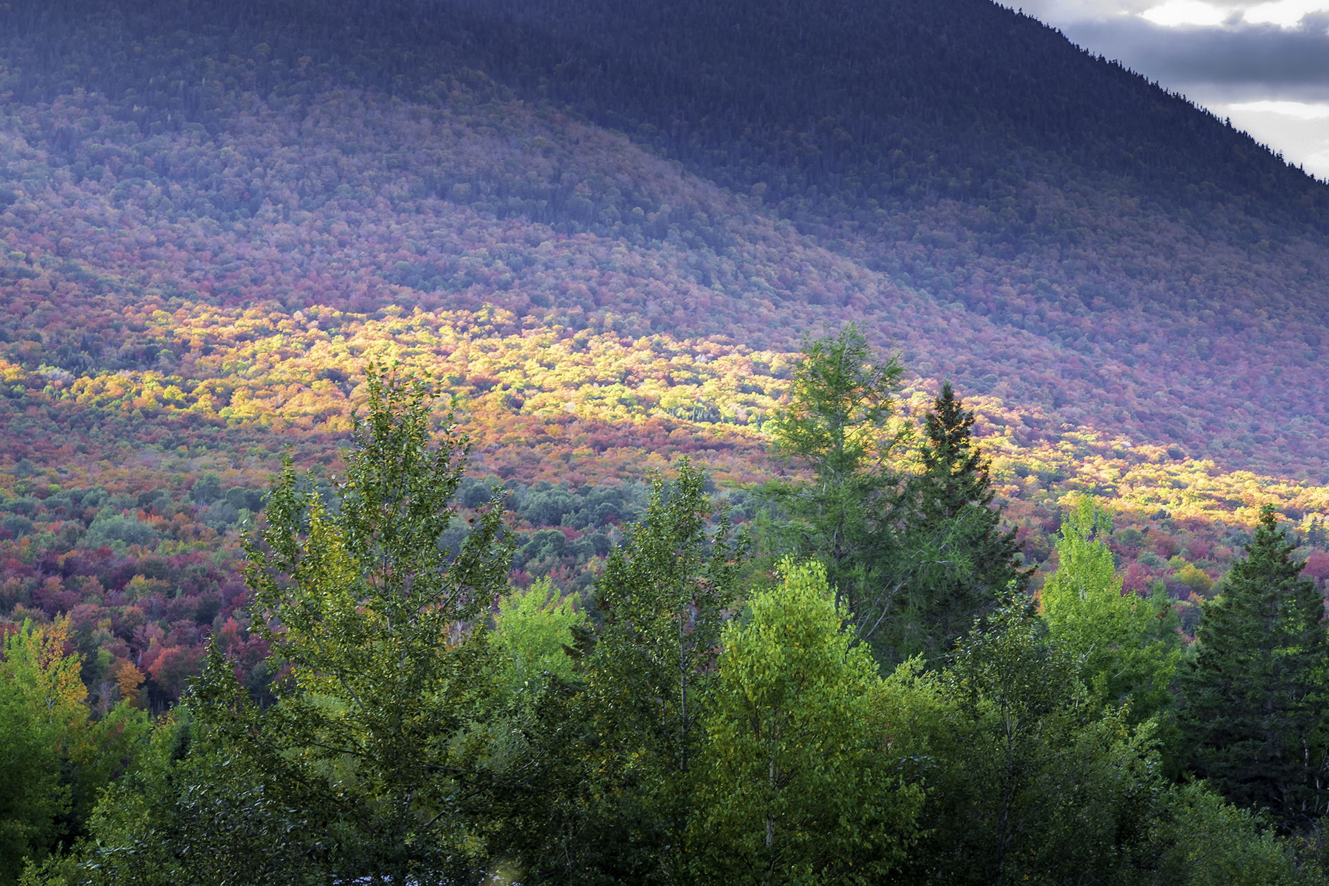 Paysages du Haut-Saint-François