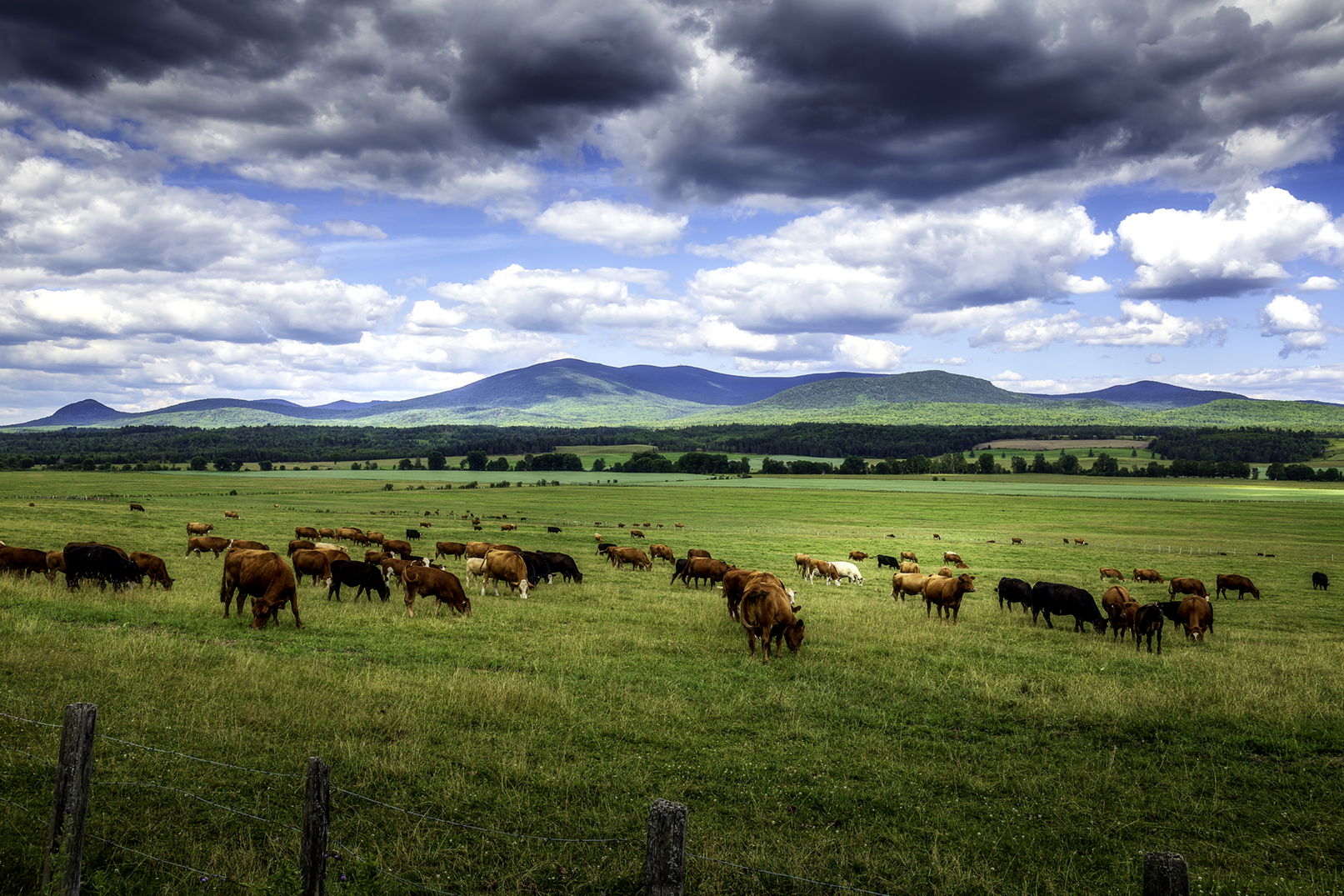 Paysages du haut-Saint-François