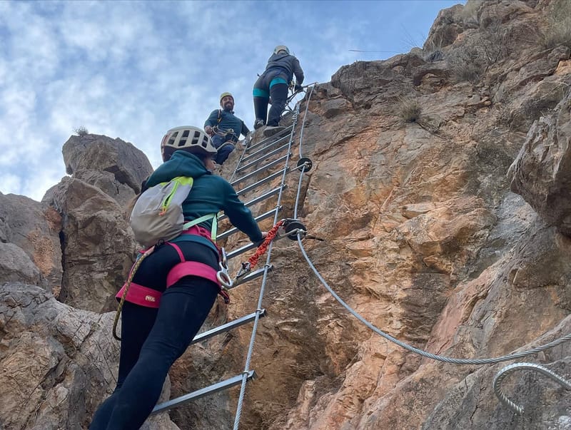 Validez de las enseñanzas deportivas