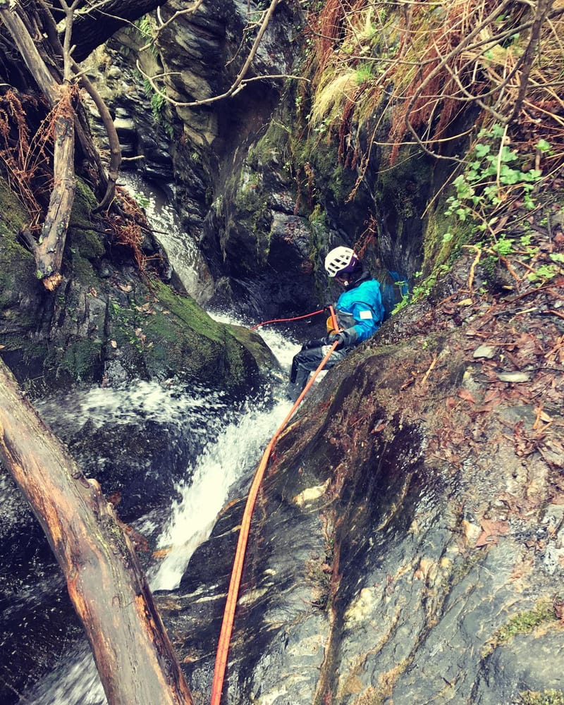 Requisitos para acceder