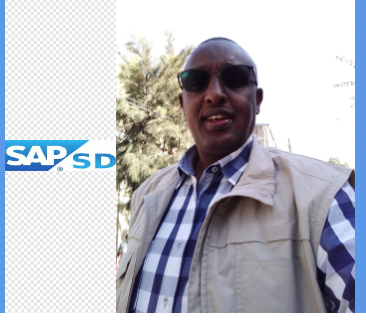 Sales and Distribution
