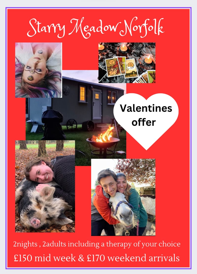 Valentines offer at Starry Meadow