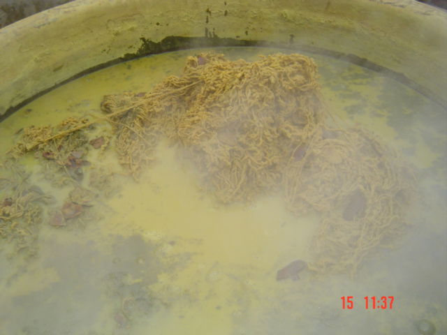 Yellow Natural Dyestuff