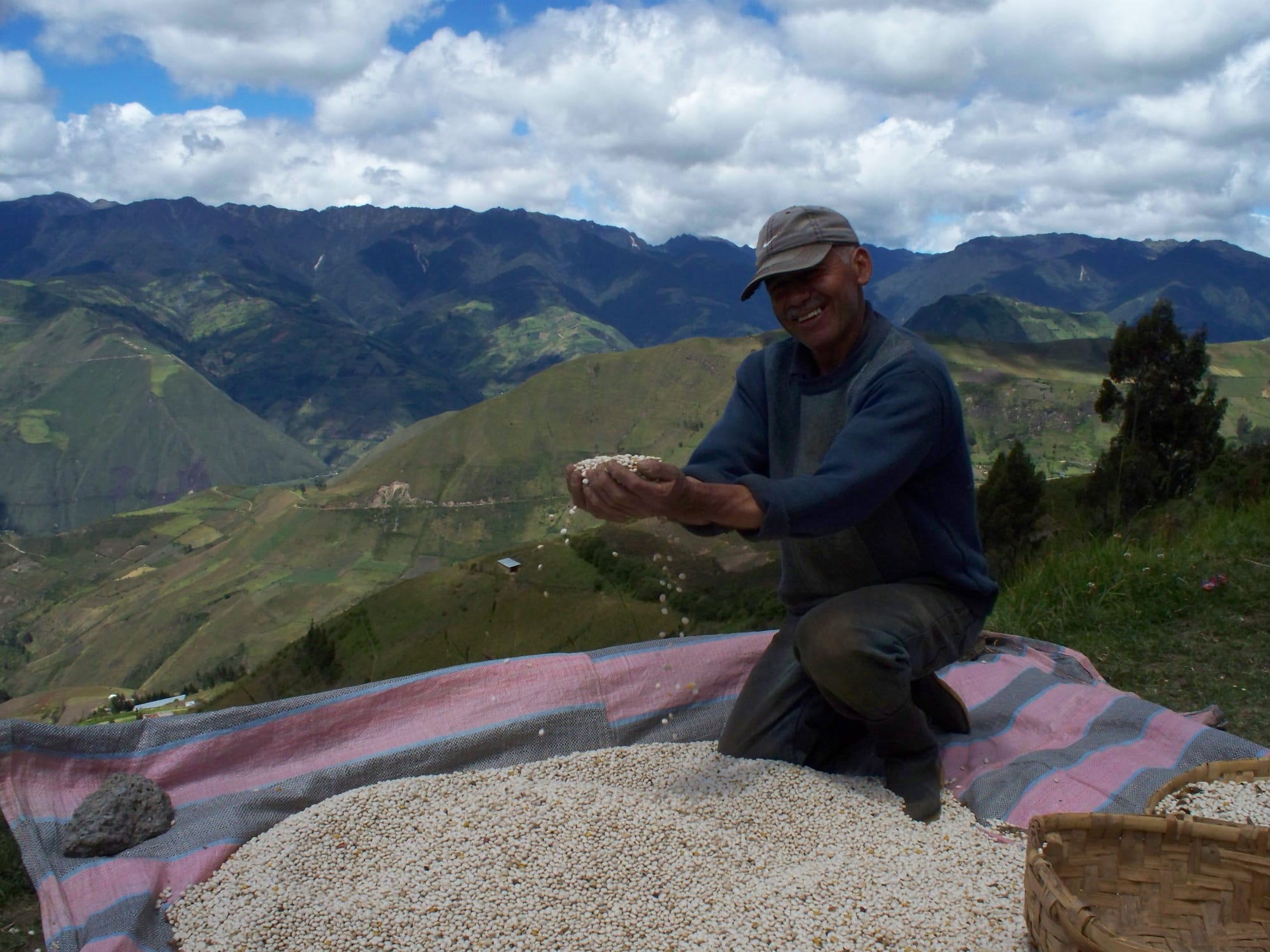 PRODUCTORES DE QUINUA