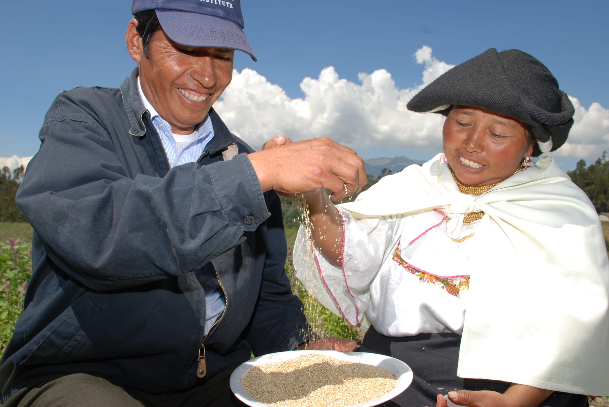 PRODUCTORES DE QUINUA PIMAMPIRO