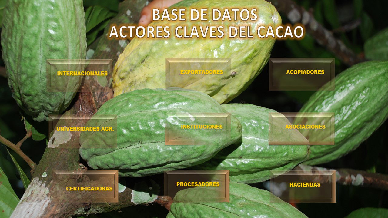 BASE DE DATOS DE ACTORES CLAVES DEL SECTOR CACAO